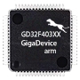 GD32F403xx Datasheet